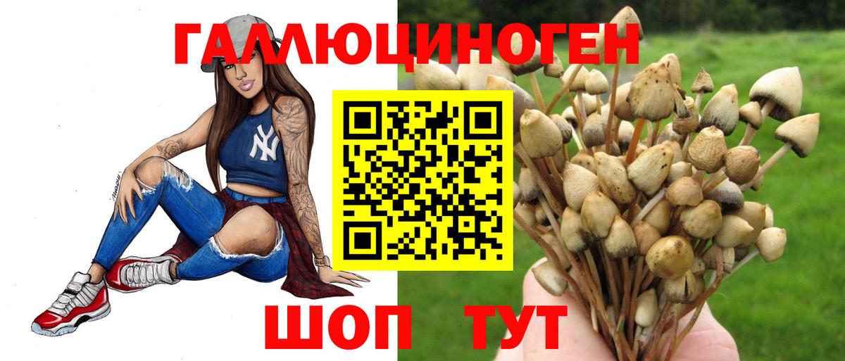 Псилоцибиновые грибы GOLDEN TEACHER Ишим